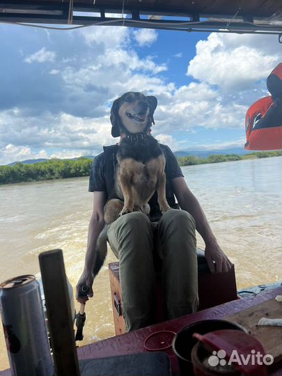 Сплав на плоту по селенге