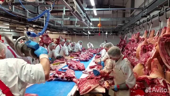 Жиловщик/Вахта Воронеж на мясокомбинат
