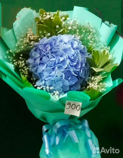 Анемона,гортензия,хризантема 