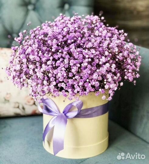 Букет гипсофилы в коробке