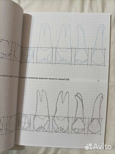 Для студентов игма