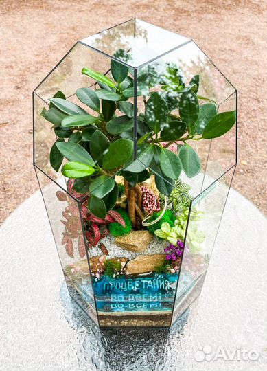 Флорариумы, моссариумы, суккуленты