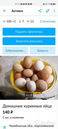 Инкубационное яйцо