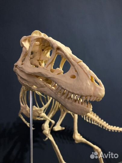 3d печать, 3d моделирование и 3d сканирование