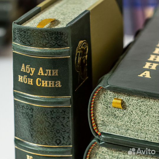 Подарочная книга Канон врачебной науки