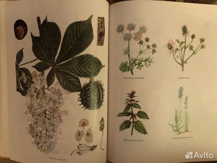 Медицинский справочник