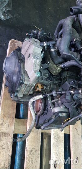 АКПП Skoda Octavia BFQ 1.6