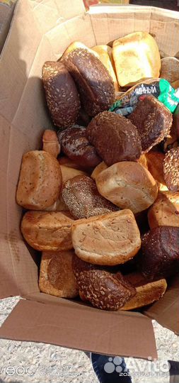 Хлеб на корма животным