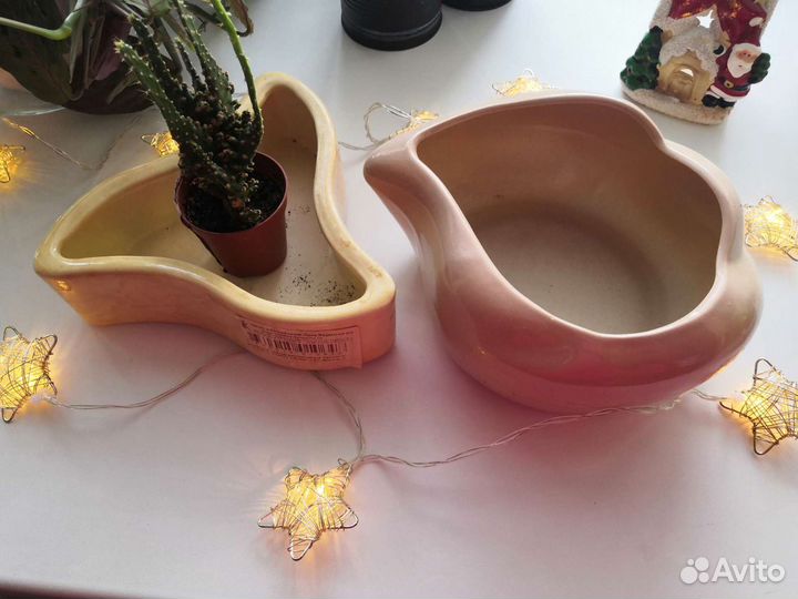 Кактусницы керамические горшки