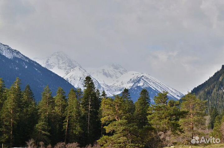 В Архыз на внедорожнике