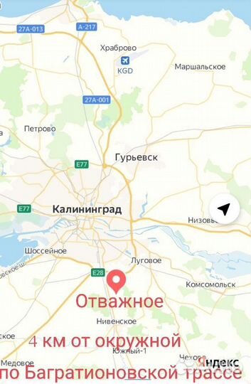 Роза Бигуди патио