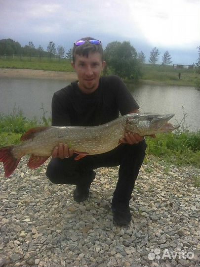 Платная рыбалка в Уфе