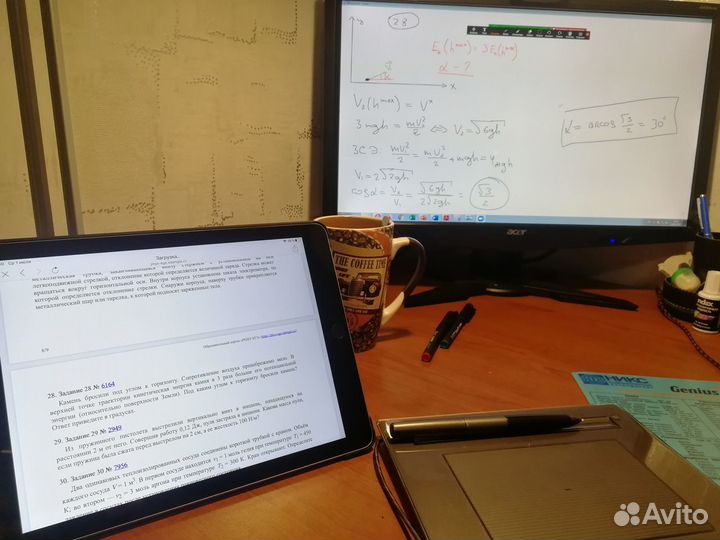 Репетитор из МГУ по математике и физике егэ и огэ