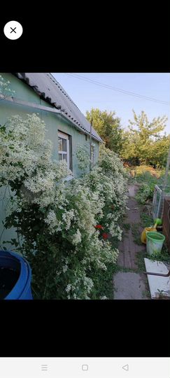 Дача 21 м² на участке 6 сот.