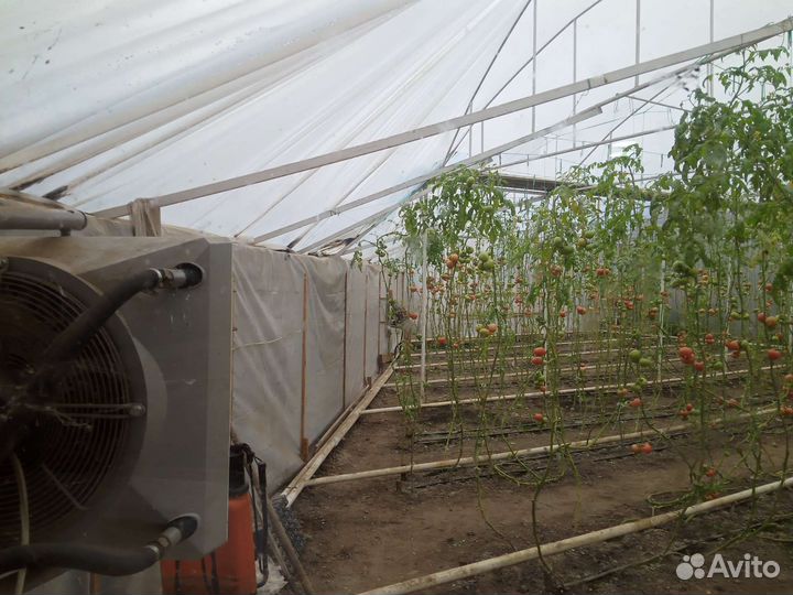 Мини теплица под разбор