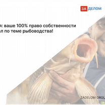 Агентство по рыбоводству в городе Будапешт, Будапешт