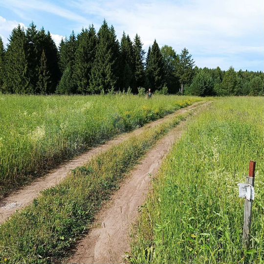 Участок 11 сот. (ИЖС)