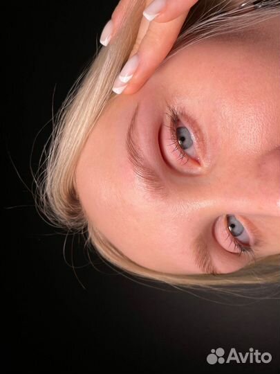 Обучение бровист