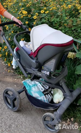 Коляска inglesina quad 3 в 1