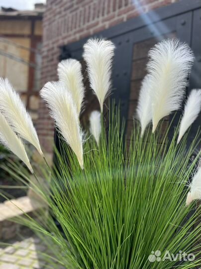 Осока искуственная