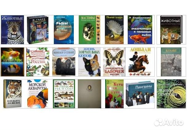Книги про животных, насекомых, рыб