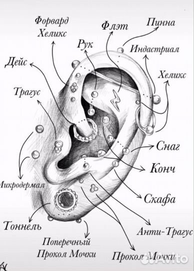 Модель на пирсинг