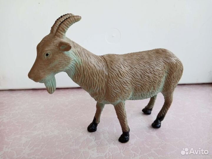 Животные разные