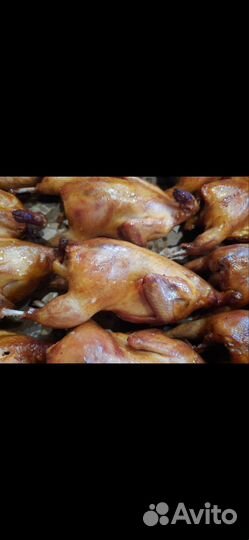 Копченые перепела