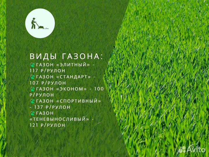 Рулонный газон, укладка, продажа