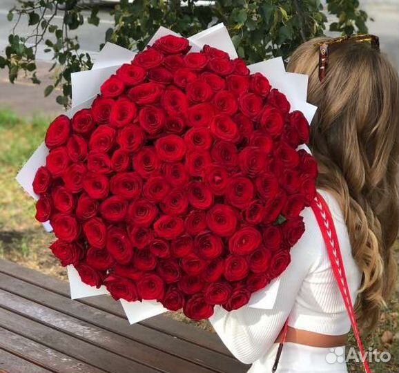 101 красная роза