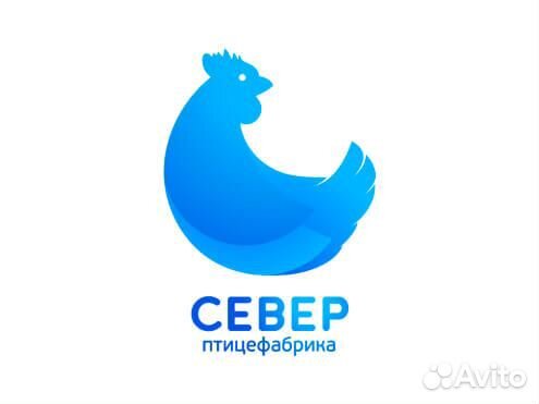 Заведующий лабораторией