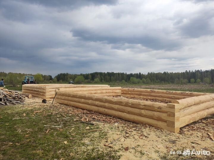 Сруба сосновые