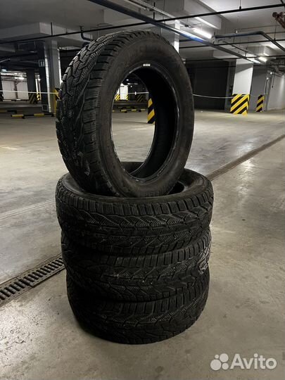 Tigar Winter 205/60 R16 98H