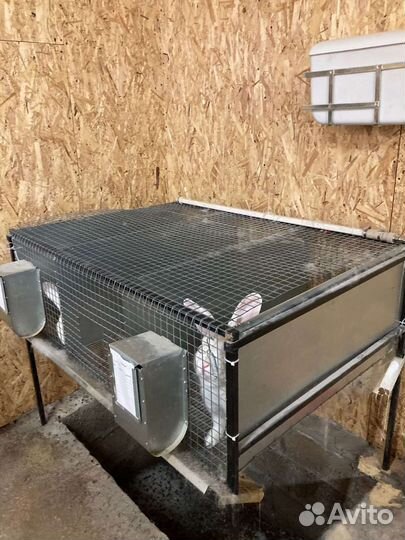 Кролики Клетки