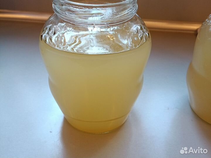 Жир лесной лечебный сентябрь 2023 г