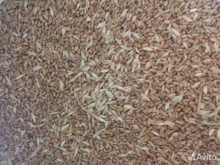 Комбикорм гранулированный