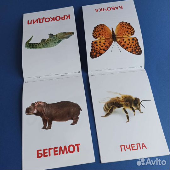 Книжечки Домана (карточки Домана)