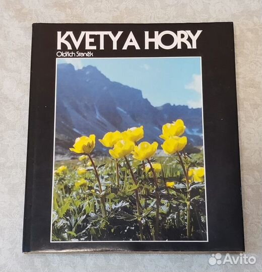 Альбомы и книги по искусству