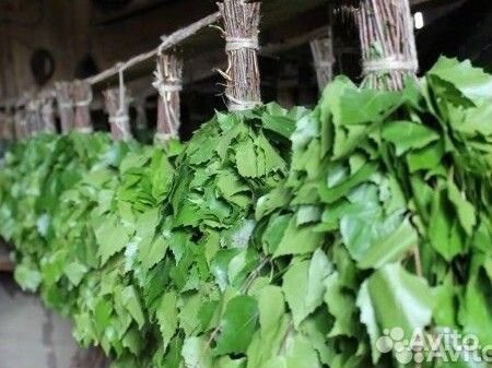 Веники для бани