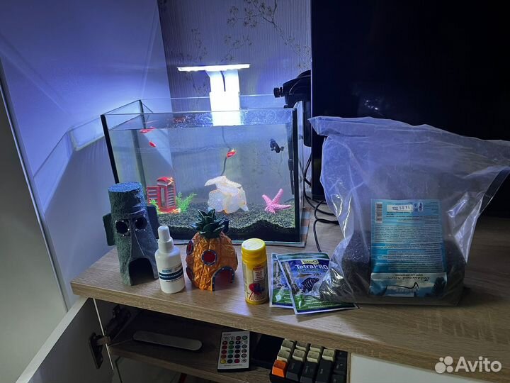 Аквариум с рыбками