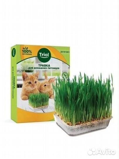 Свежая Трава для кошек