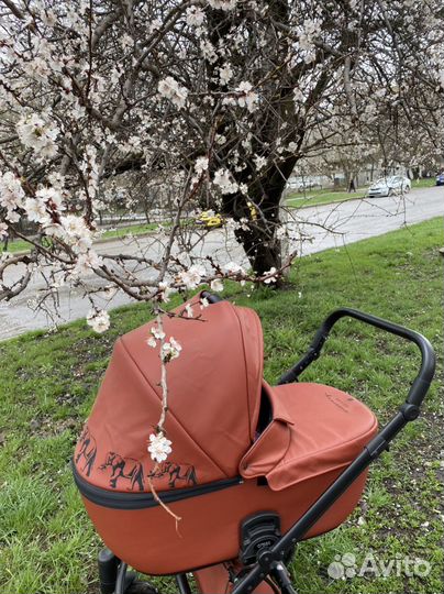 Коляска Anex cross Discovery edition