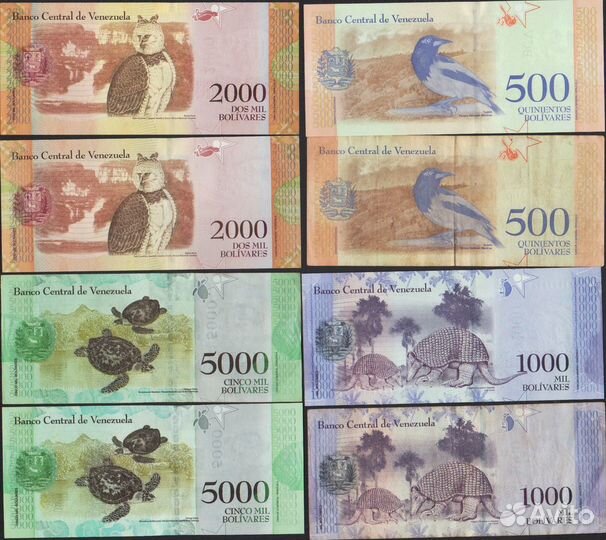 Банкноты. Америка, часть 2 (Венесуэла 2021)