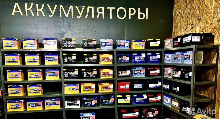 Аккумуляторы Медведь Европейский корпус