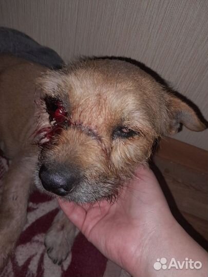 Девочка 5 кг