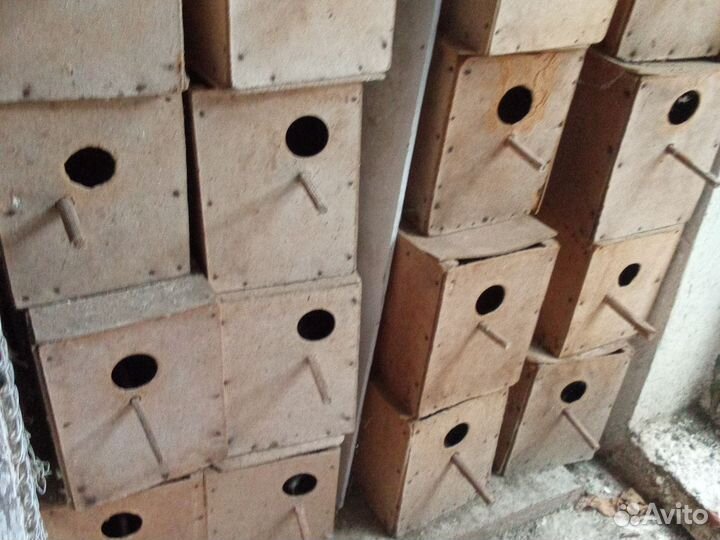 Домик для попугаев