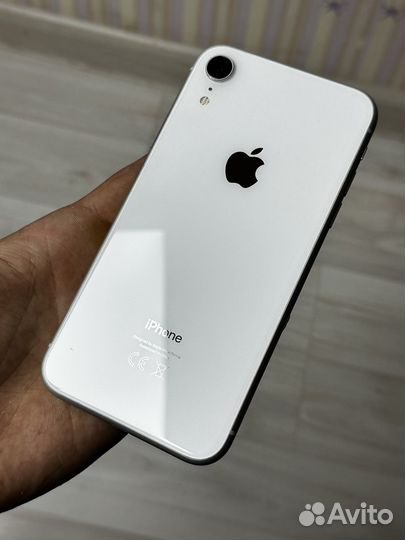 iPhone xr