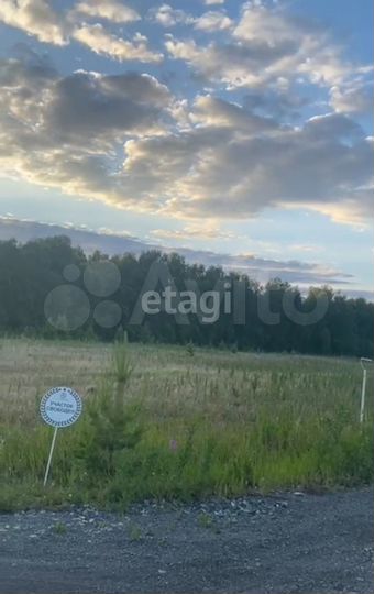 Участок 11,9 сот. (СНТ, ДНП)