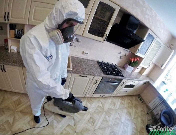 Уничтожение тараканов, клопов и других насекомых