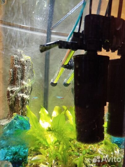 Аквариум с тумбой 80 литров